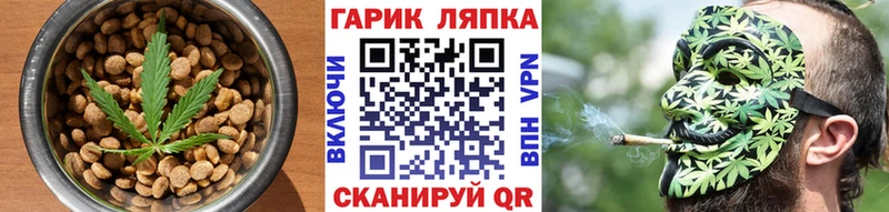 МЕГА онион  Петровск  Canna-Cookies марихуана 