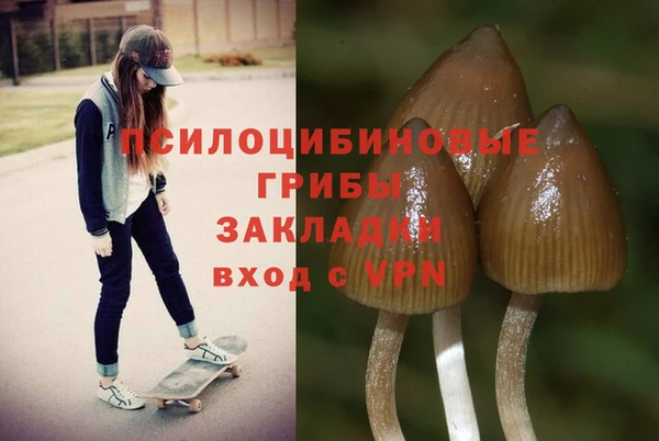 прущая мука Волоколамск