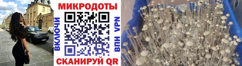 Псилоцибиновые грибы прущие грибы  Петровск 
